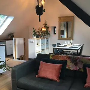 Bel Sur Les Hauteurs De Appartement Locronan